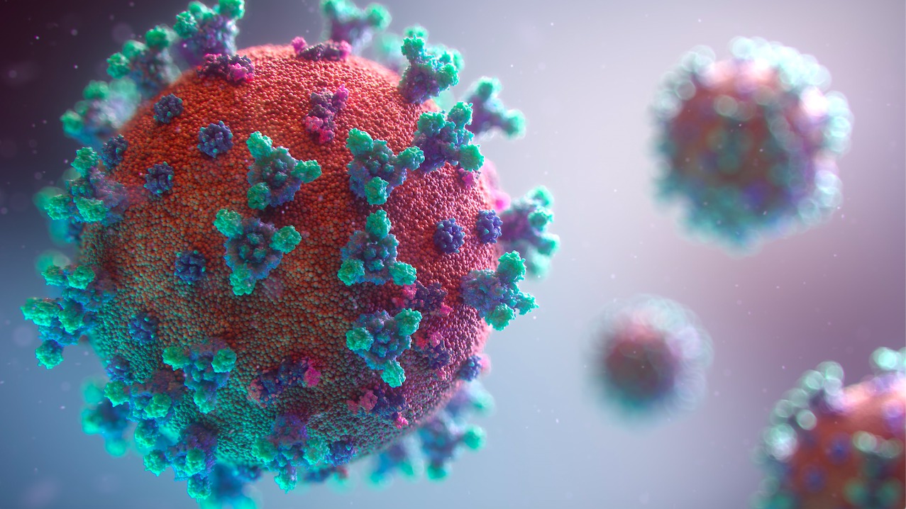 Covid-19 : interrogations sur l'excrétion du virus et la réponse en  anticorps – Réalités Biomédicales