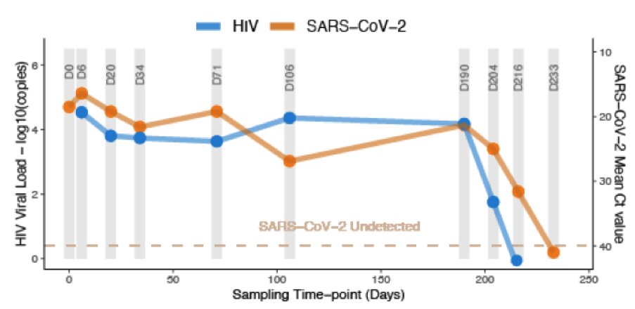 Covid-19 : infection par le SARS-CoV-2 durant sept mois chez une ...
